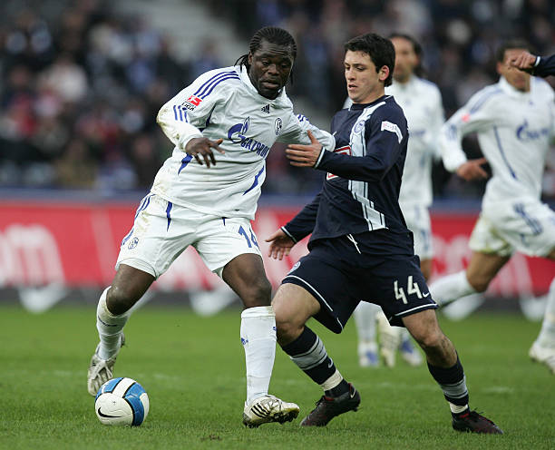 并未将这份 并未将这份